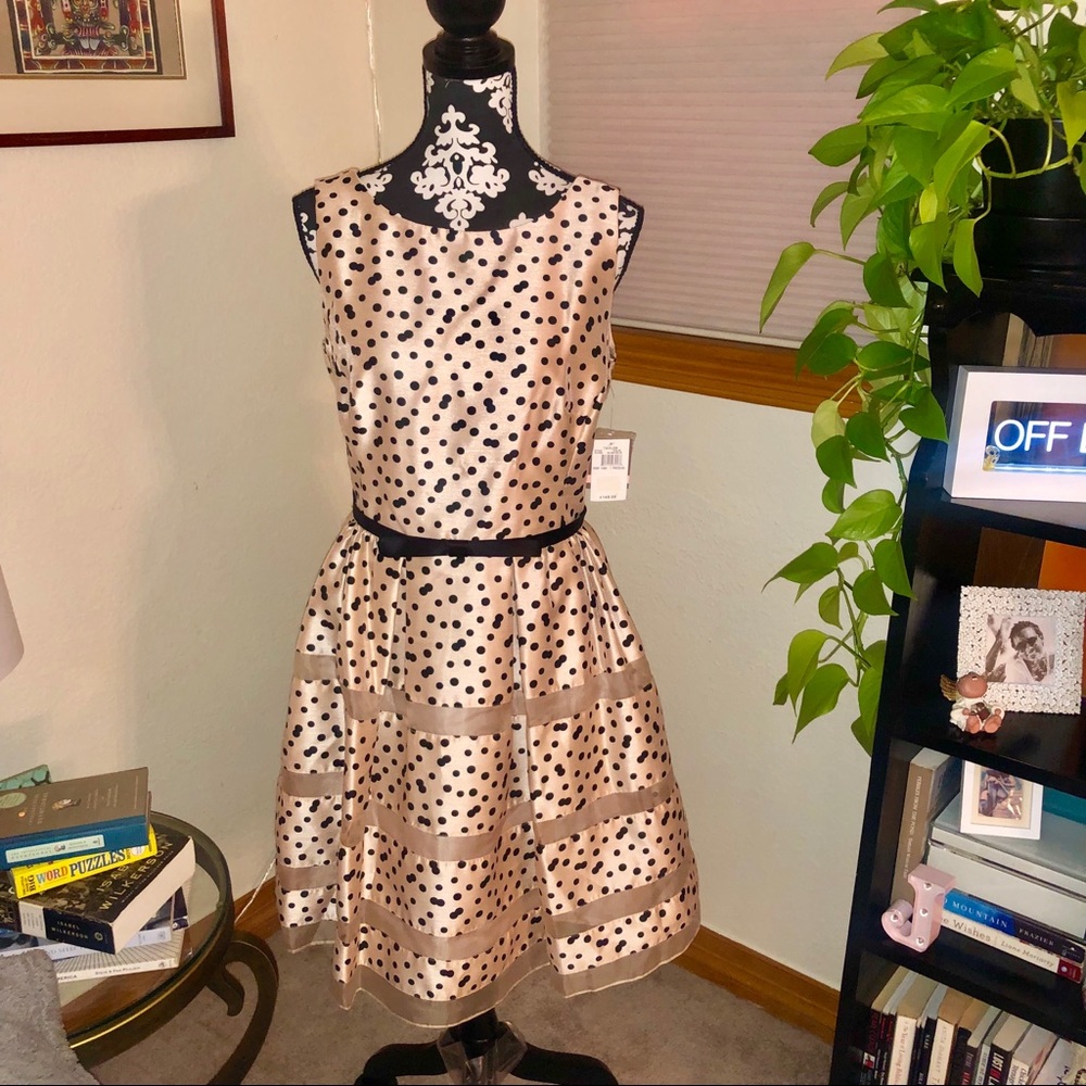 NWT! Size 12 Taylor Polka Dress
